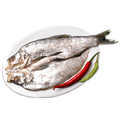 大白刁（450-500g）